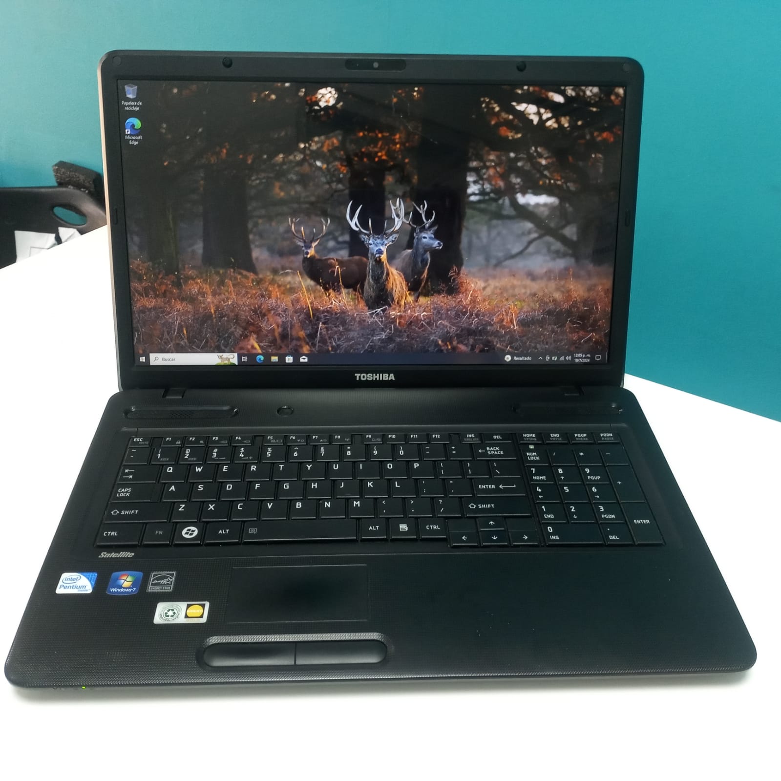 computadoras y laptops - * Laptop, Toshiba Satellite C6