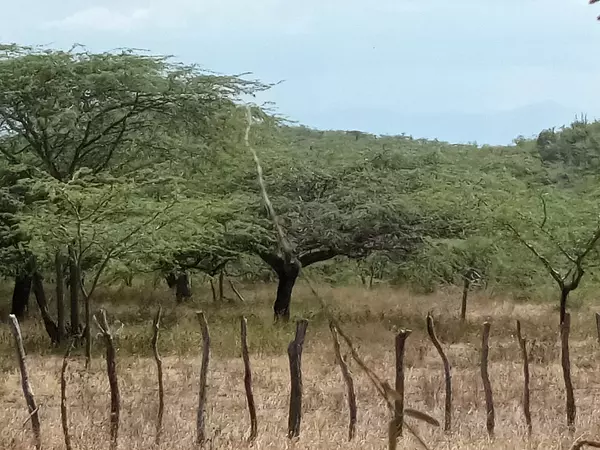 solares y terrenos - Solar de 2,000 tareas en Laguna Salada, Valverde 3