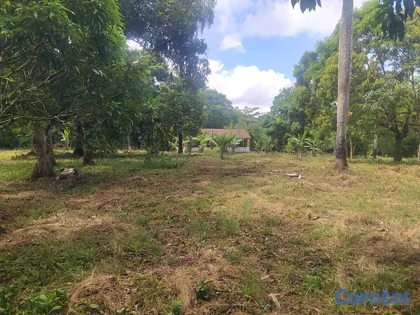 solares y terrenos - finca de 57 tareas con casa campestre en sabana grande de boya  6