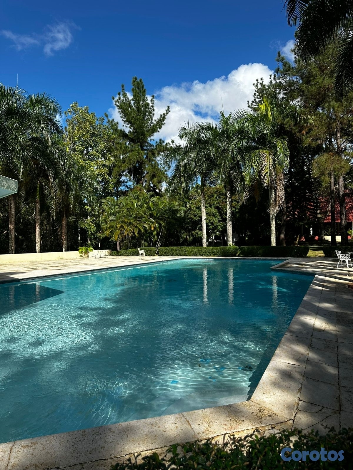 solares y terrenos - Solar disponible  2