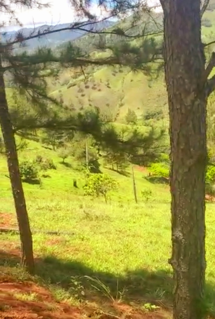 solares y terrenos -  Súper oportunidad de adquirir un hermoso lote dentro de proyecto cerrado. 