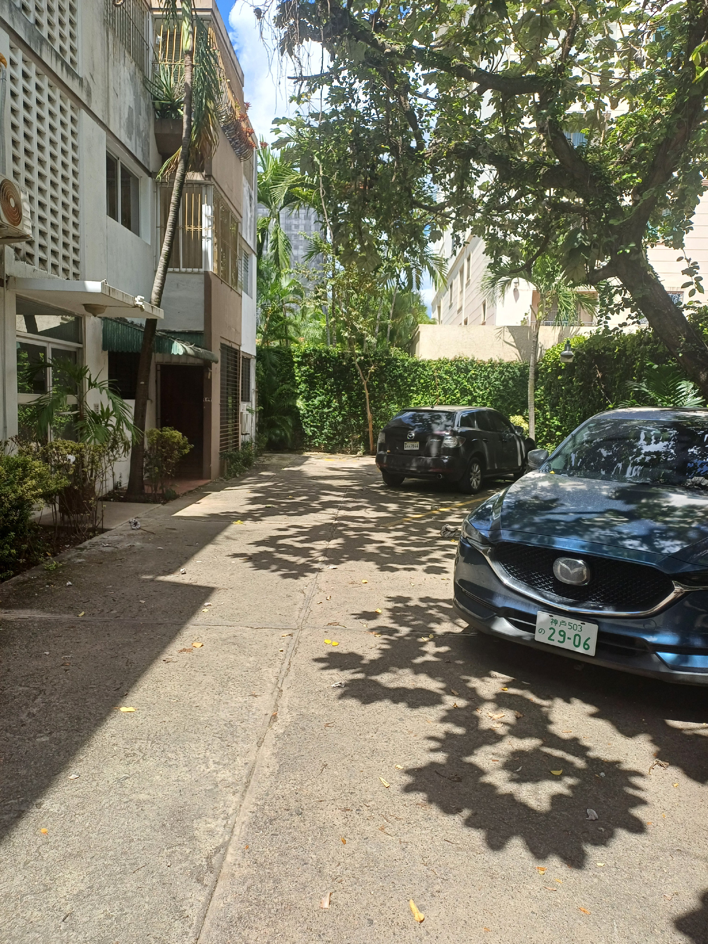 apartamentos - Alquilo Apartamento Clásico 2do Piso en Piantini ma 9