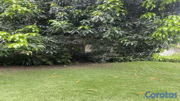 solares y terrenos - VENDO TERRENO CON 585 MT2 EN GALA, ARROYO HONDO MT2 1