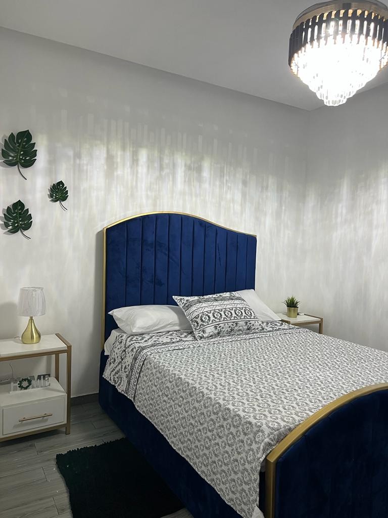 apartamentos - Propiedad comercial en venta, ubicada en Ciudad Nueva, Santo Domingo 7