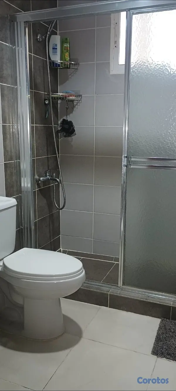 decoración y accesorios - Puerta ducha, inodoro, lavamano pedestal  2