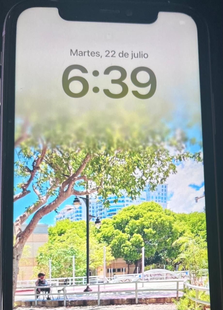 celulares y tabletas - iPhone 11 64GB 1