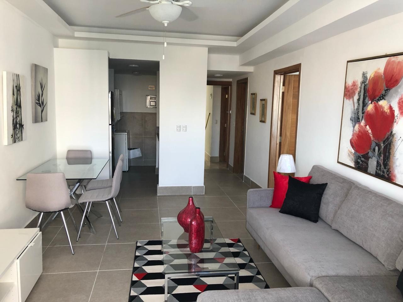 apartamentos -  Apartamento AMUEBLADO EN NACO 0