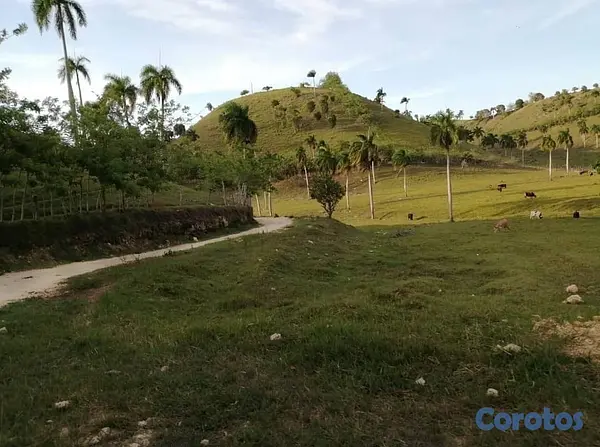 solares y terrenos - finca de venta en jamao al norte  5