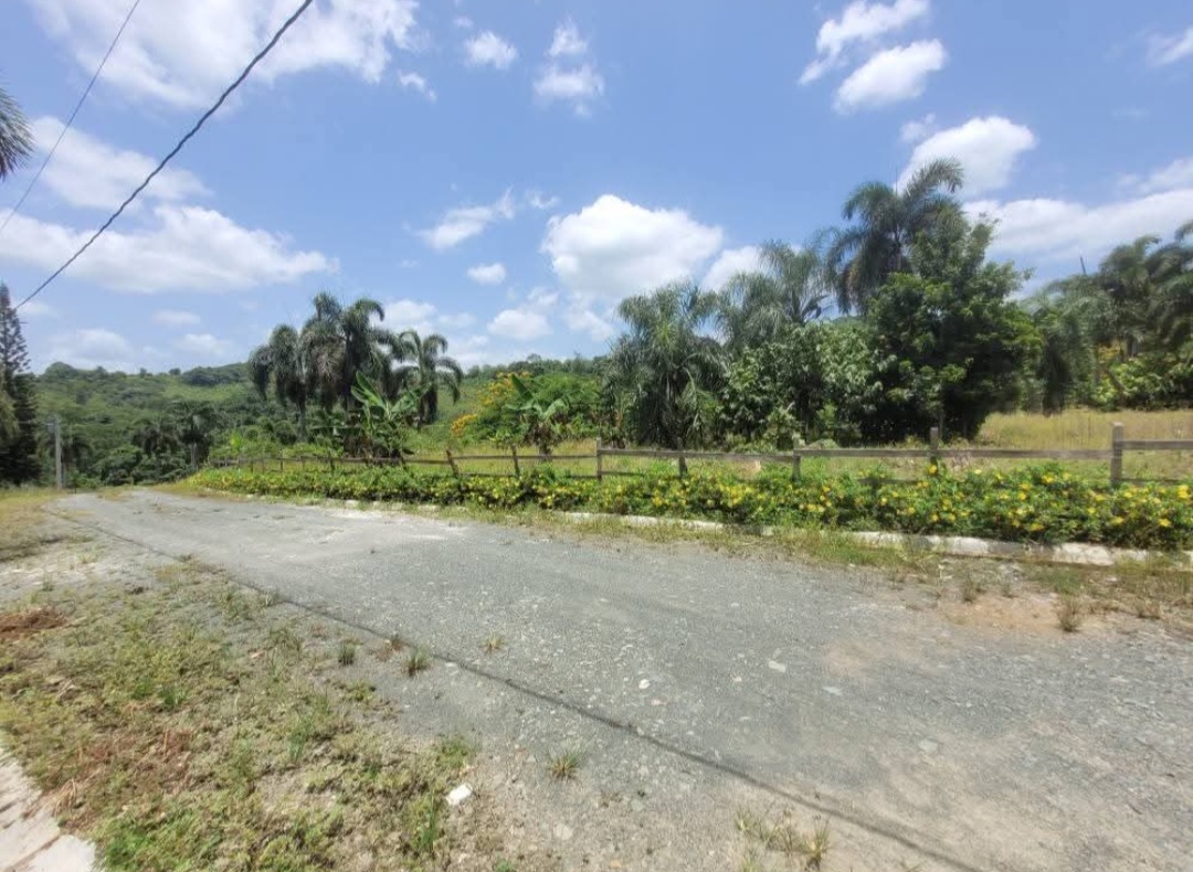 solares y terrenos - Vendo Solar de 1,200 mt2 en Villa Altagracia 5