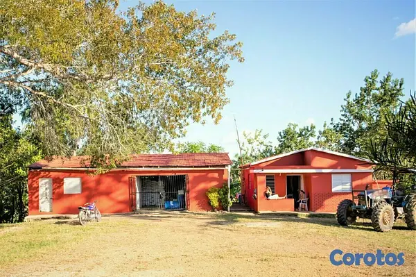 solares y terrenos - Finca de 5232 tareas totalmente ganadera y agrícol 3