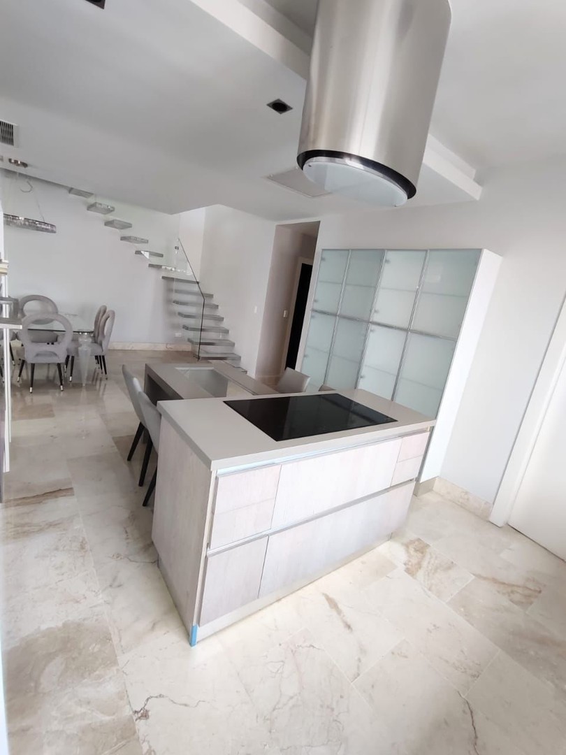 penthouses - Apartamento Penhouse en venta en El Renacimiento (A.N 7