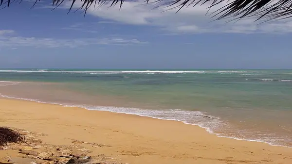 solares y terrenos - VENDO en primera linea de playa, Uvero Alto 3
