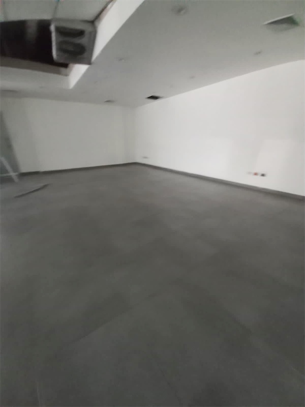 oficinas y locales comerciales - Local céntrico y comercial gazcue 4
