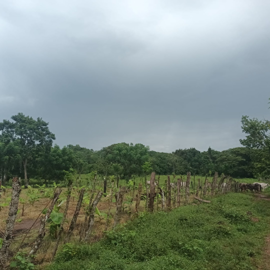 solares y terrenos - Finca en Bayaguana 2