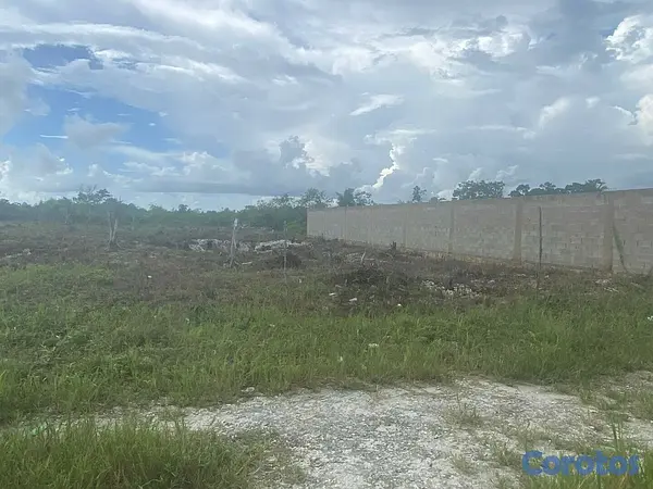 solares y terrenos - Solares en venta ubicados en Calle las Flores, Verón Punta Cana.  2