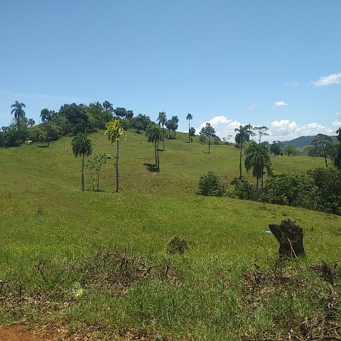solares y terrenos - Vendo finca completa en Jarabacoa, perfecta para proyecto o ganadería..!!!