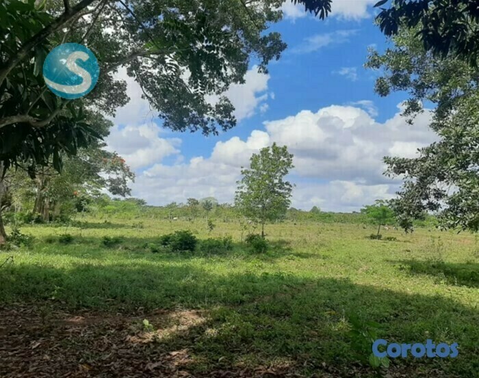 solares y terrenos - Solar en venta 4