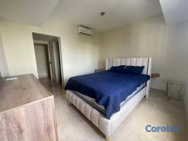 apartamentos - Apartamento en Alquiler en Piantini Amueblado de T 16