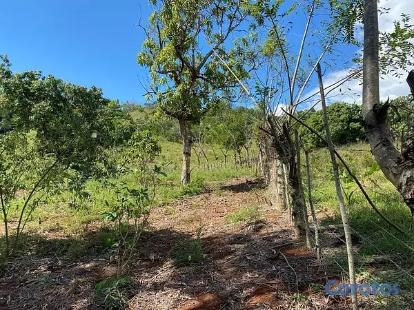 solares y terrenos - Terreno en venta en San Cristobal 3