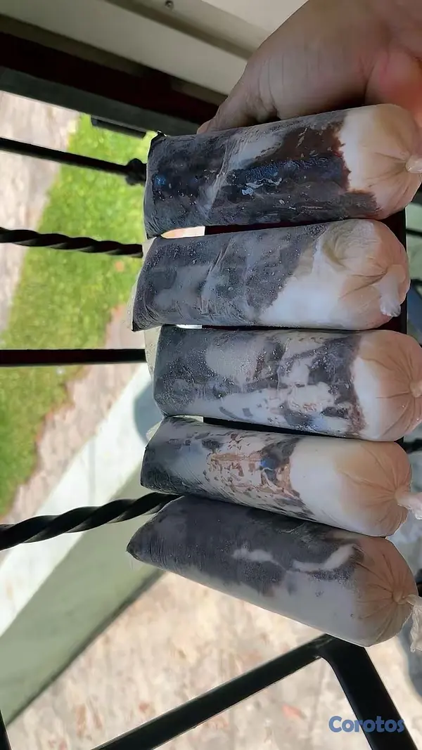 cocina - helados naturales  12