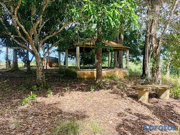 otros inmuebles - finca de 4a tareas en sabana grande de boya  3