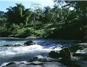 casas vacacionales y villas - Vendo villa! Lomas linda, autopista Duarte. República Dominicana 8