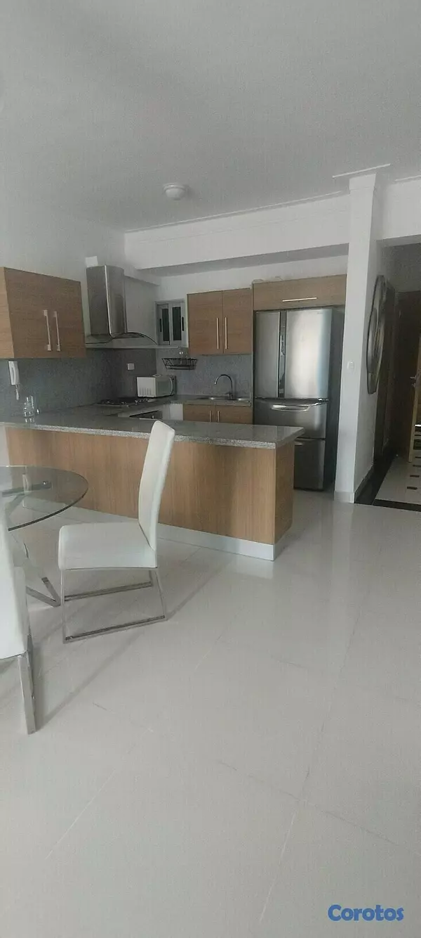 apartamentos - LUJOSO APARTAMENTO BELLA VISTA PARA EJECUTIVO 4