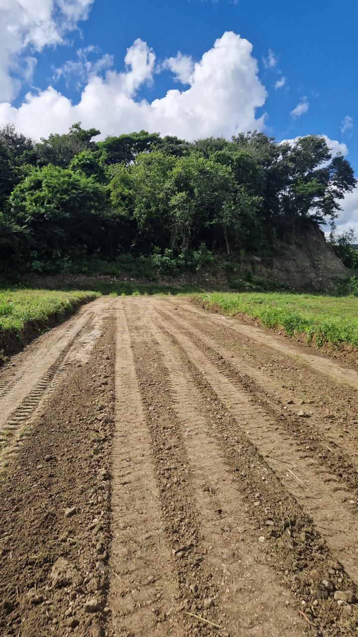 solares y terrenos -  Solares en Venta en Navarrete, Puerto Plata 4