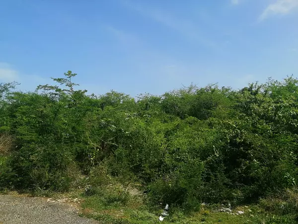 solares y terrenos - Terreno de 96,000 metros al Lado Campos Grandes Ligas 3