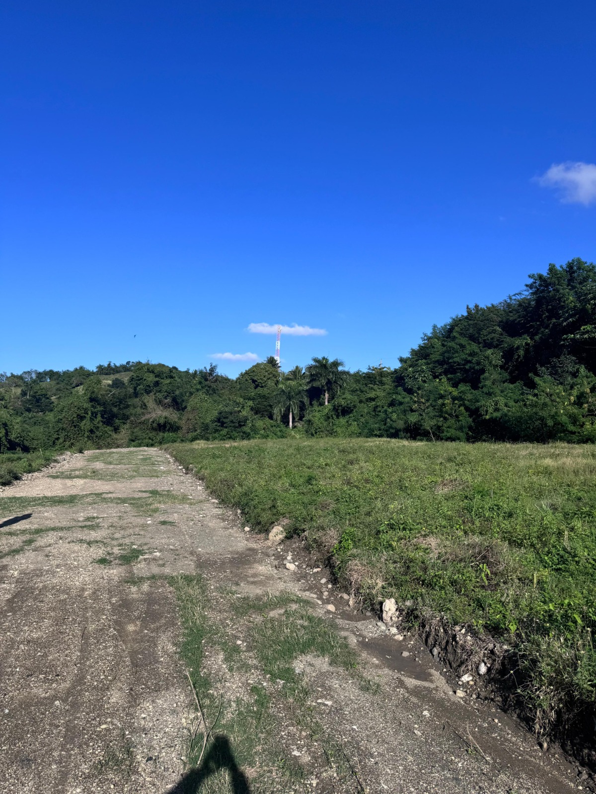 solares y terrenos -  Solares en Venta en Navarrete, Puerto Plata 5