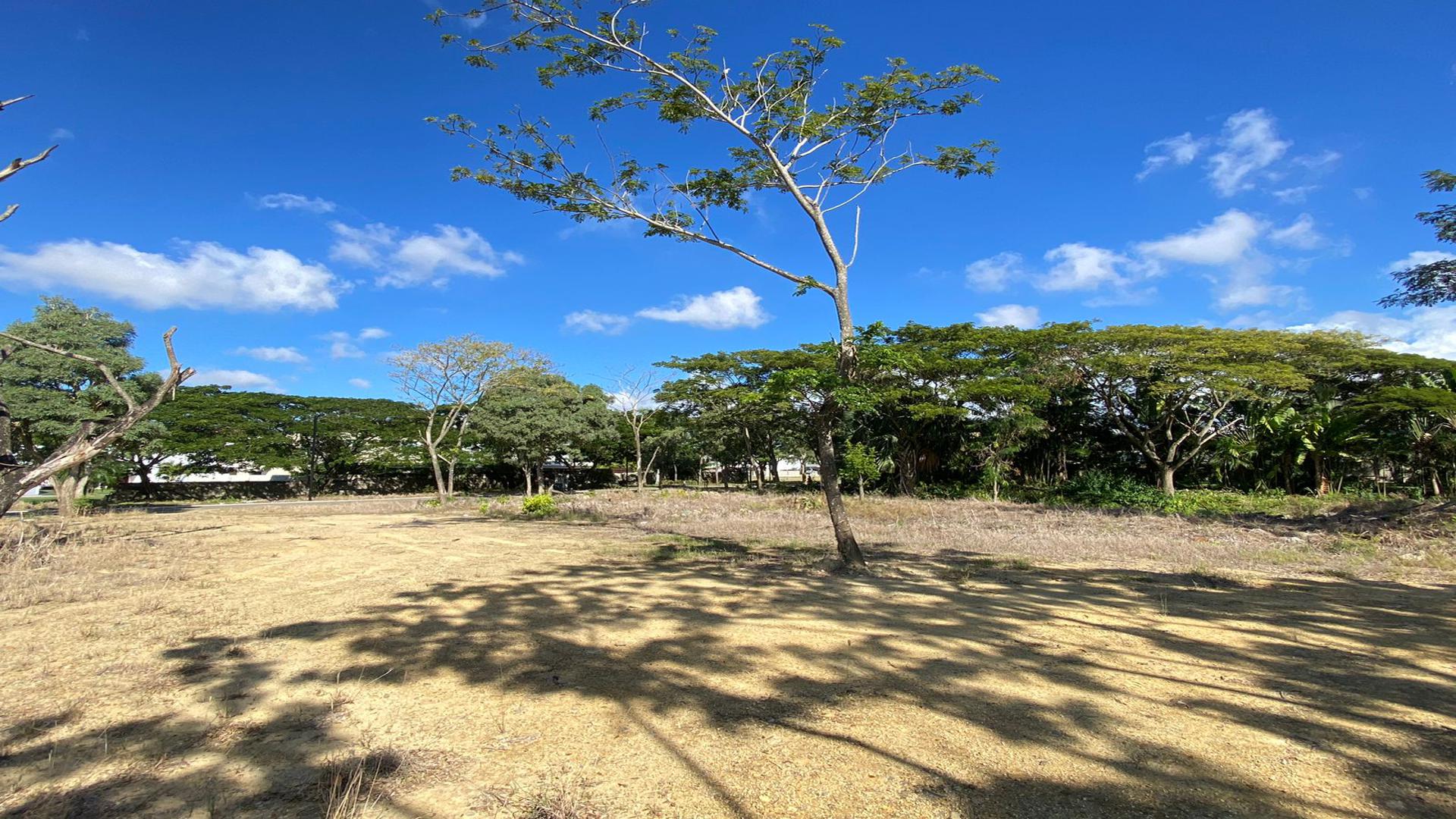 solares y terrenos - EXCLUSIVO SOLAR EN VENTA EN LOS SAMANES SANTIAGO 8