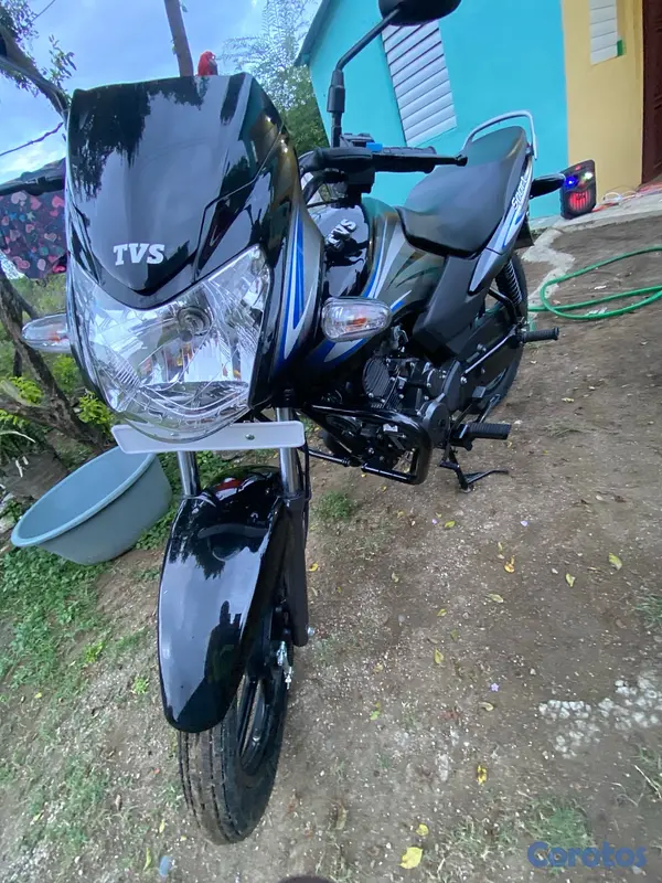motores y pasolas - TVS 100 sport 2024 6