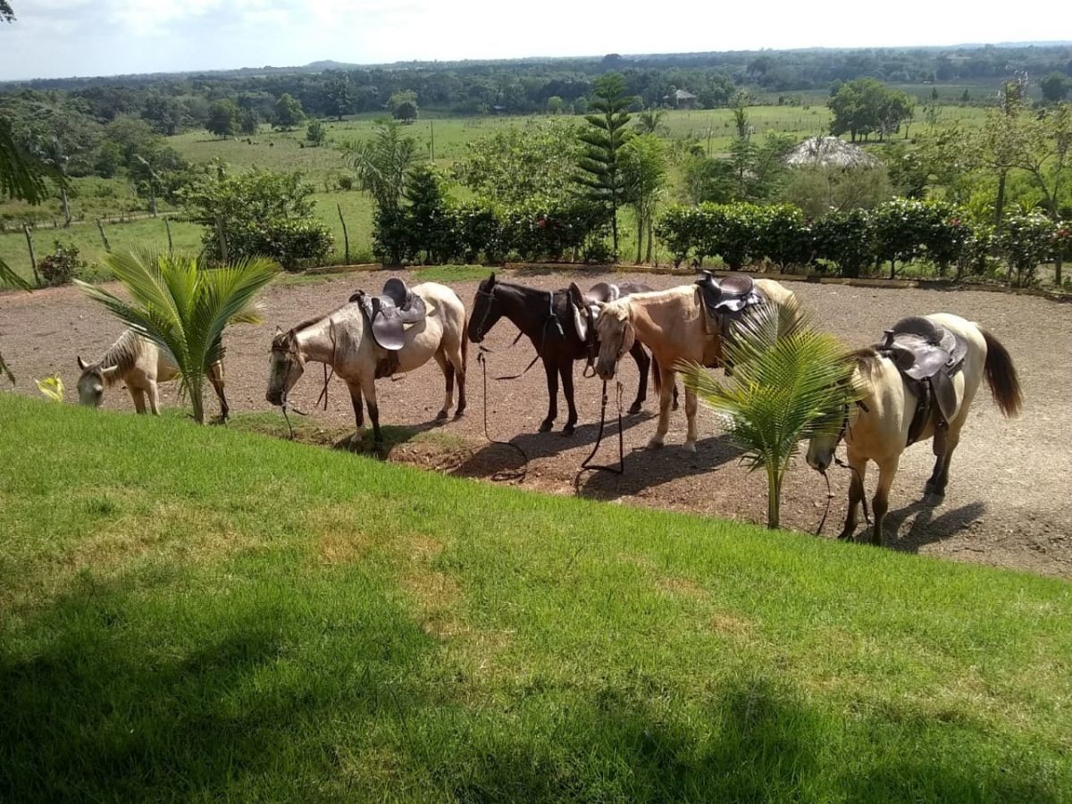 solares y terrenos - Solares en Venta en Monte Plata en Proyecto cerrado, ideal para Villas 0