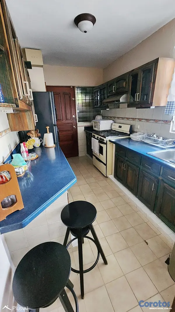 apartamentos - Amplio apartamento clásico remodelado en venta – E 5