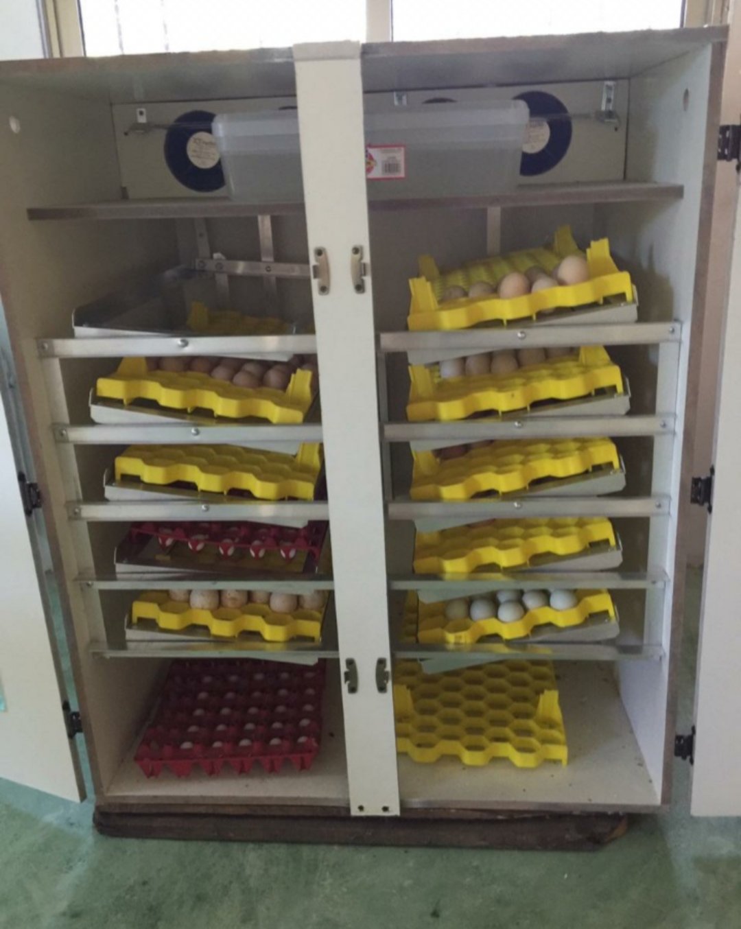 equipos profesionales - Incubadora de huevos industrial automática  full