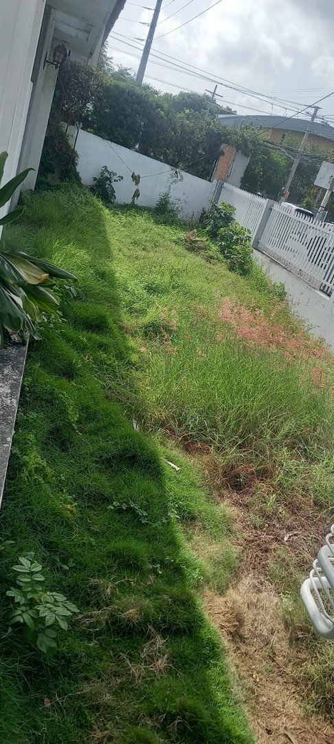 casas - 🔵Alquilo Casa  400 mts para oficina o negocio en Naco 
 1