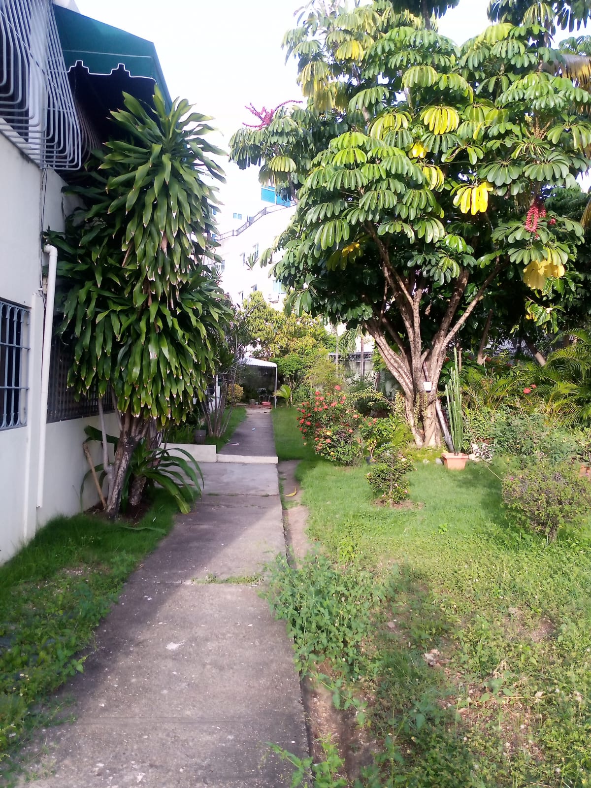 casas -  VENDO CASA EN RENACIMIENTO  1