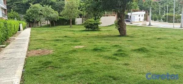 apartamentos - APARTAMENTO AMOBLADO 2