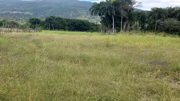 solares y terrenos - Terreno en Venta en las Matas de farfan 5