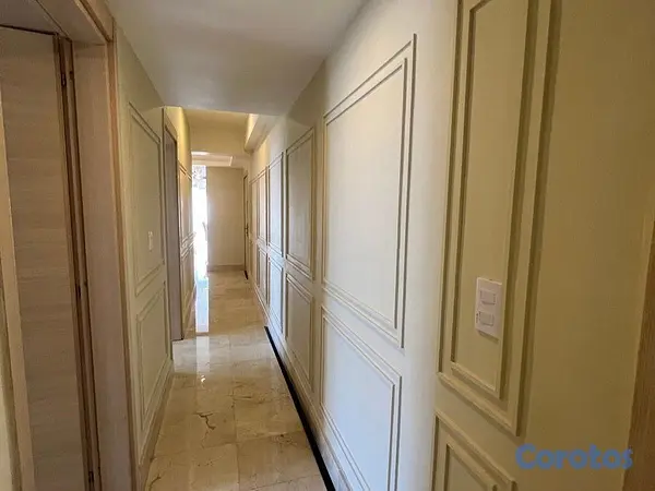apartamentos - Apartamento en Alquiler en Piantini Amueblado de T 17