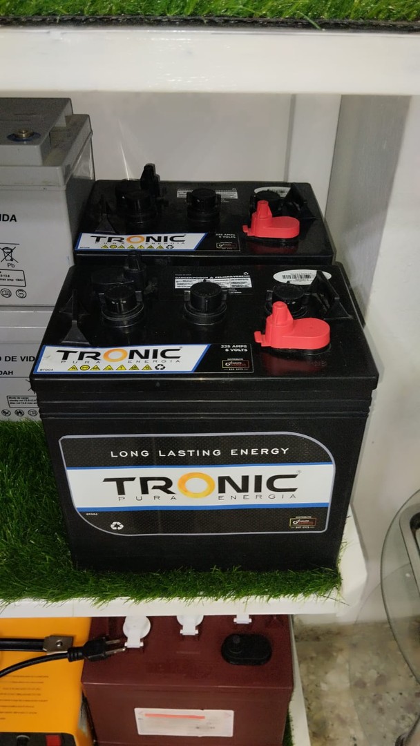 plantas e inversores - ya llegaron las baterías tronic 0