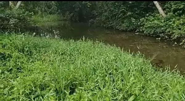 solares y terrenos - Finca de 4,480 tareas en Hato Mayor 7