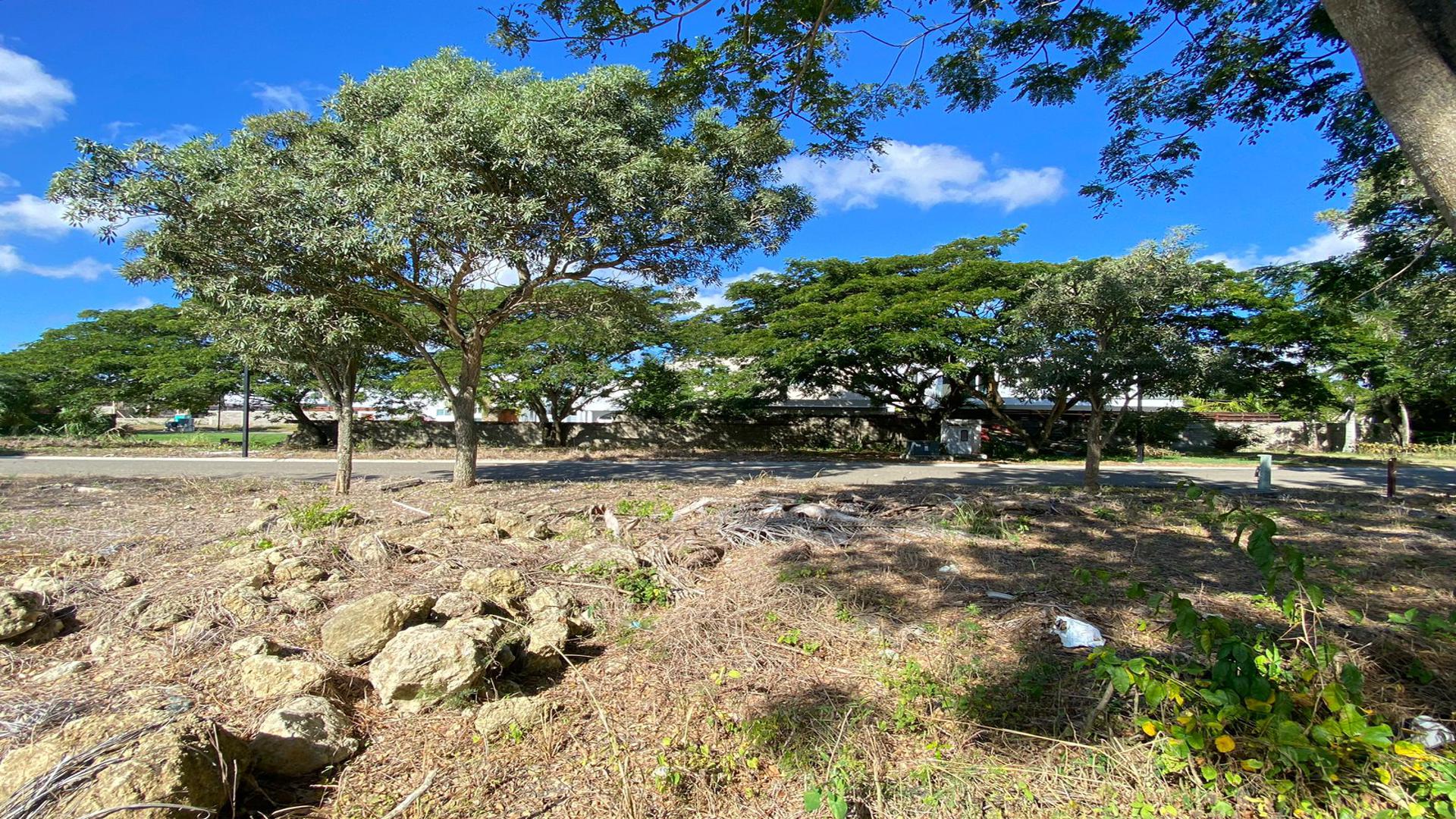 solares y terrenos - EXCLUSIVO SOLAR EN VENTA EN LOS SAMANES SANTIAGO 11