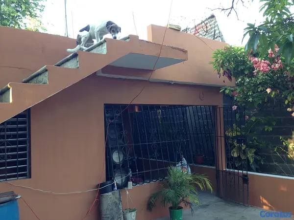casas - Casa grande 550m Boca Chica 2