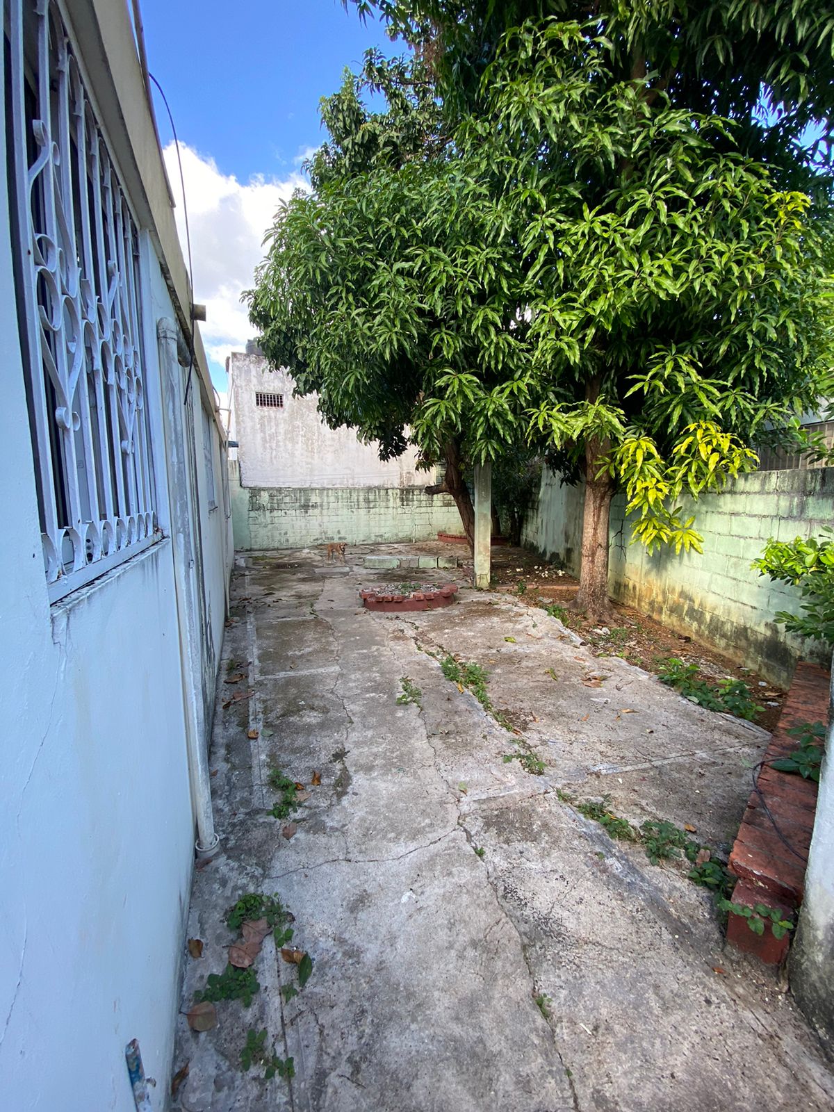 casas - Venta de casa de un nivel en el sector de lucerna Santo Domingo este Unifamiliar 5