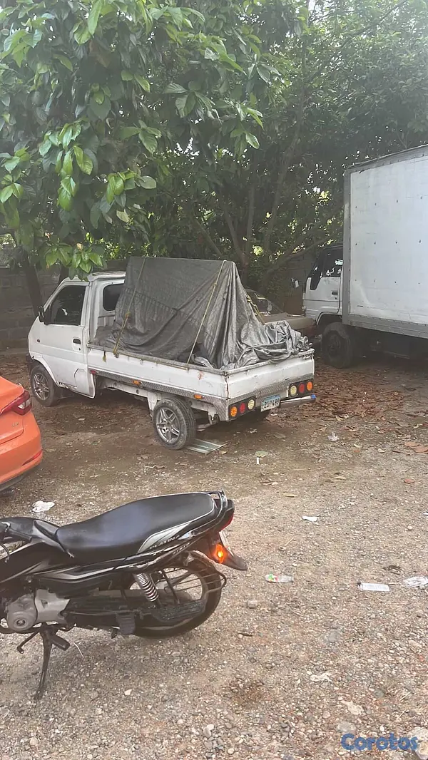 servicios profesionales - mudanza y acarreo Santo Domingo  2