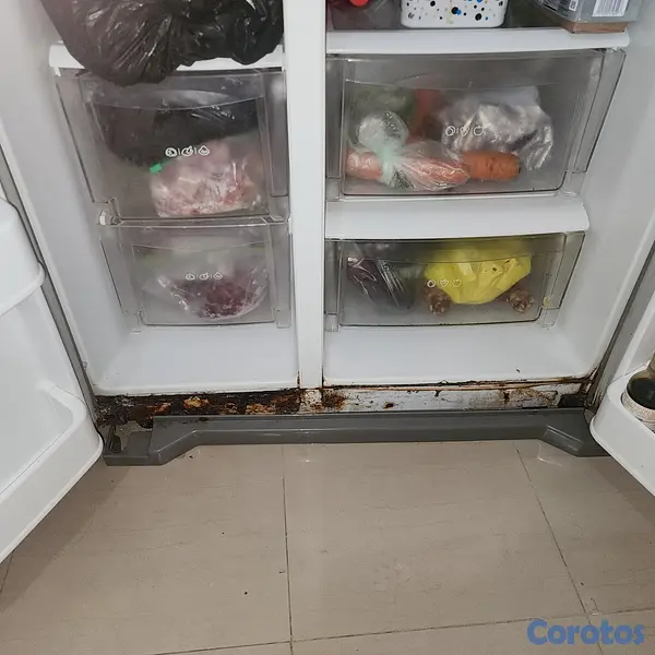electrodomesticos - Nevera LG de dos puertas  2