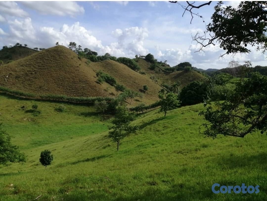 solares y terrenos - finca de venta en jamao al norte  1