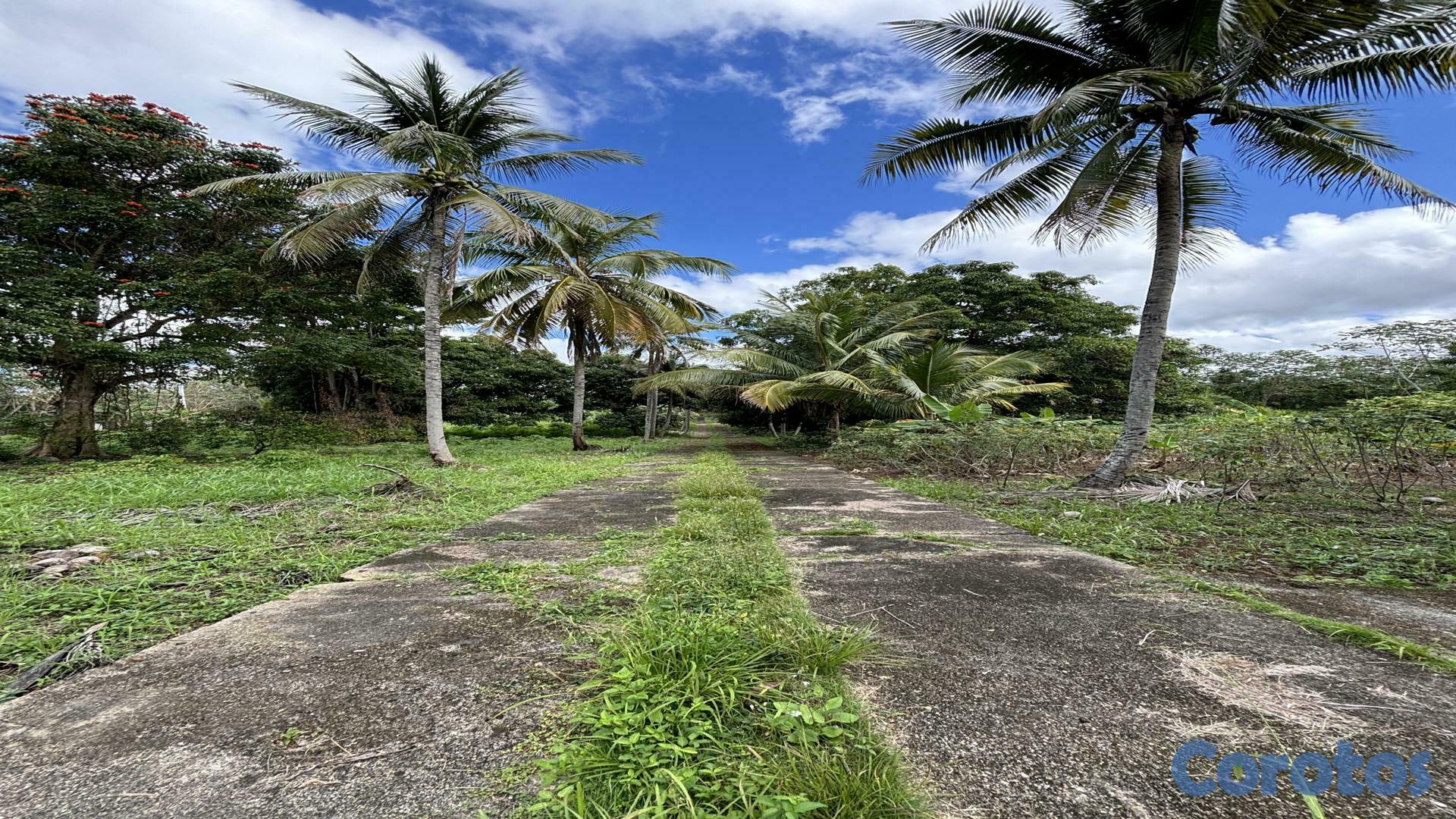 solares y terrenos - Terrenos KM 25 Naves Industriales Autopista Duarte 4
