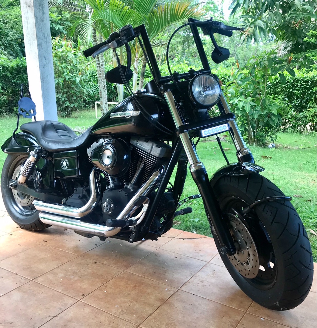 motores y pasolas - Harley Davidson Fatbob 1600cc